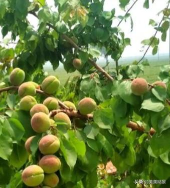 天使的翅膀徐誉滕（天使的翅膀）(5)