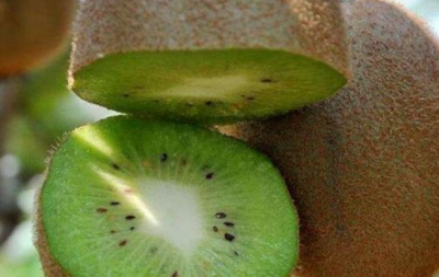 ​猕猴桃分几种品种,猕猴桃的品种有哪些图