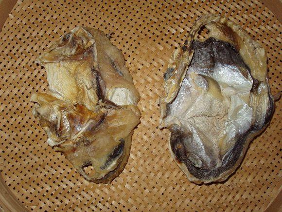 河豚是最常见却又最昂贵的东西（它到底生活在河里还是海里）(12)