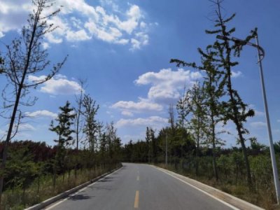 ​琼坛世家价格表(世龙世家价格表)