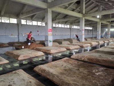 ​泸州圣窖酒疯子怎么样(泸州酒疯子酒价格)