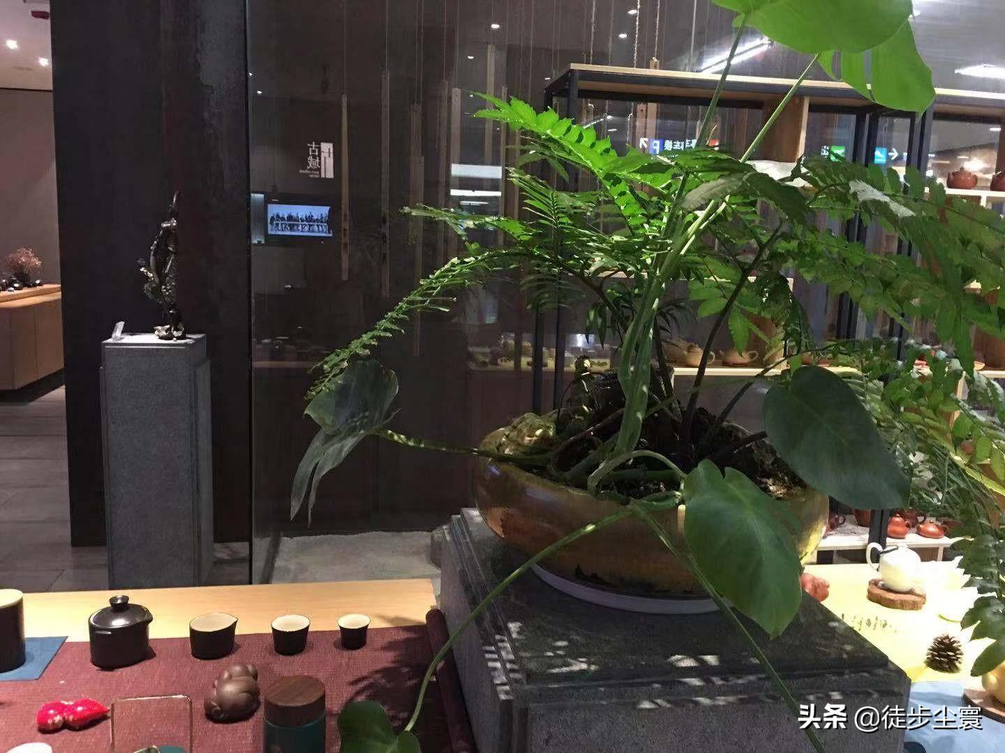 厦门航空美女如云，论其空姐姿色，丝毫不落后于中国各大航空