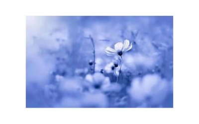 ​失去她的理由是什么？教你怎么挽回一个死心的女友