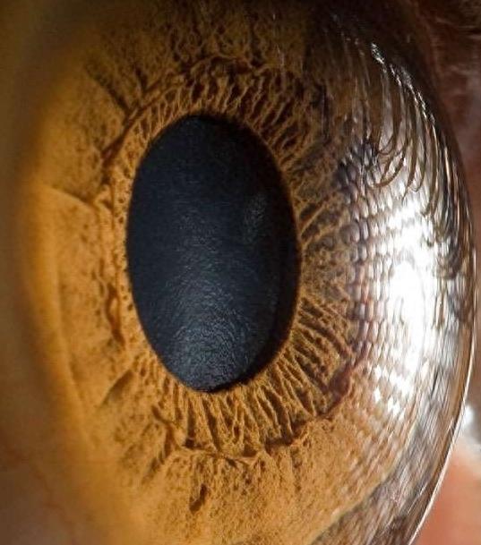 15张超近距离拍摄的瞳孔写真照，视线一对上就再也无法移开！