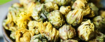 ​菊花买了一年多了还能喝吗 菊花过期2年还能喝吗