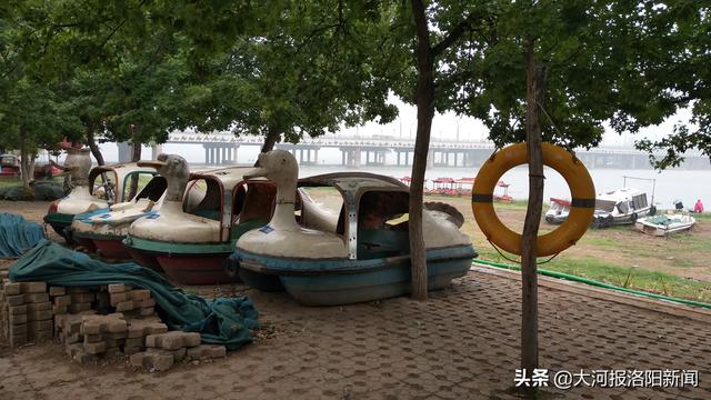 河里现不明物怎么处理（200个救生圈投放洛河岸边）(3)