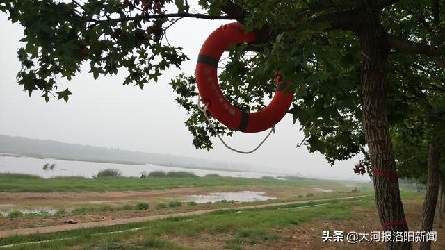 河里现不明物怎么处理（200个救生圈投放洛河岸边）(1)