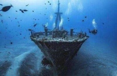 ​松露 世界上最贵的松露多少钱