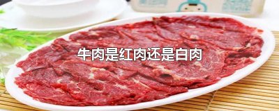 ​牛肉是红肉还是白肉