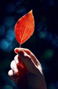 ​所谓的“潜意识”，指的就是还没有被自己觉察到的大脑回路……