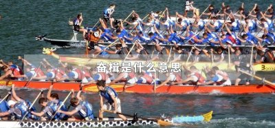 ​奋楫什么意思