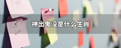 ​神出鬼没是什么生肖