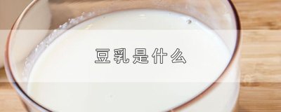 ​豆乳是什么？豆乳的别名是什么