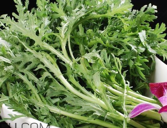 生活皇帝菜是什么样子？皇帝菜又叫什么菜  1