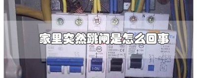 ​家里突然跳闸是因为啥原因 家里突然跳闸是因为啥呢