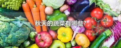 ​秋天种什么蔬菜简笔画 秋天的蔬菜图片大全简笔画