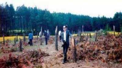 ​南极企鹅识途谜团 自身具备独特导航本领超能力无解