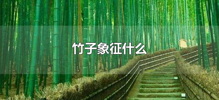 竹子象征什么