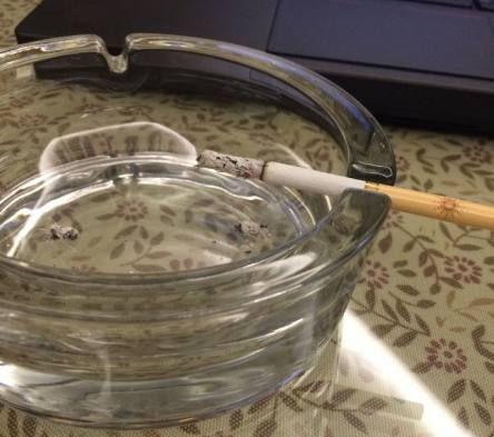 闻香识味，曾迷恋那浓郁的梅子味，今迷恋那浓郁的茶甜香