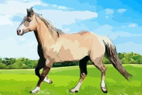 1978年属马的是什么命:1978年七月初一午时属马的是什么命？