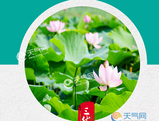 入伏和三伏天有什么区别