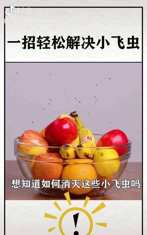 夏天店里有很多小飞虫，怎么样可以杀死他们