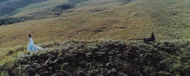 陈情令大结局是什么意思