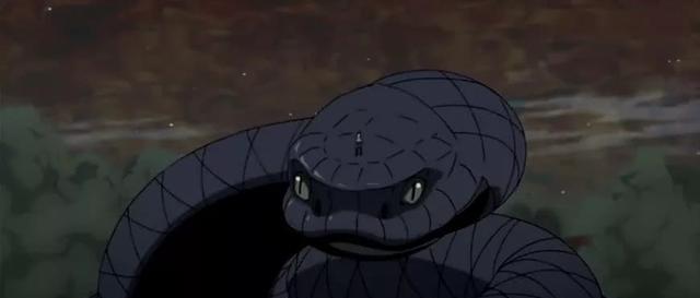 火影:最厉害的5只蛇类通灵兽,万蛇垫底