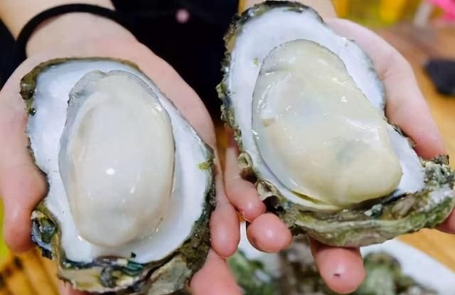 收到的生蚝开口了还能吃吗