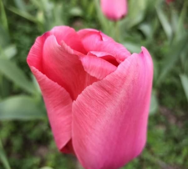 挂钩贴在墙上怎么去除,粘贴挂钩总是掉怎么办图4