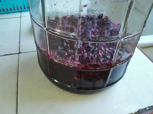 葡萄酒在发酵中会发霉