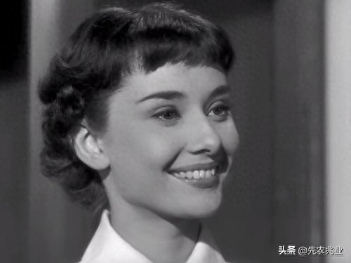 奥黛丽·赫本(百年来最伟大的女演员),最经典的20张照片