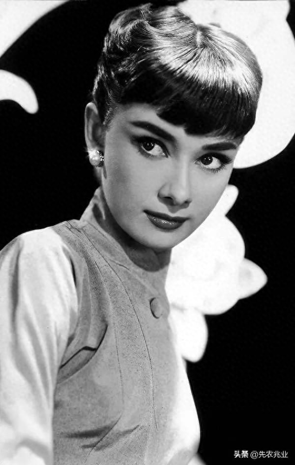 奥黛丽·赫本(百年来最伟大的女演员),最经典的20张照片