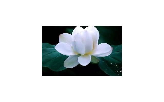 女人被男人玩弄的4大征兆，女人别傻傻的不知道