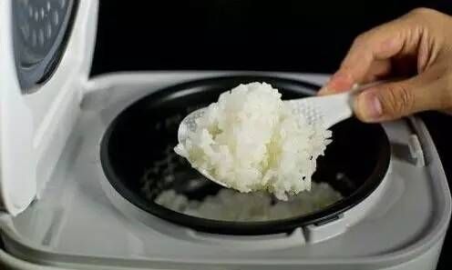 泡好的大米又不煮了怎么保存呢