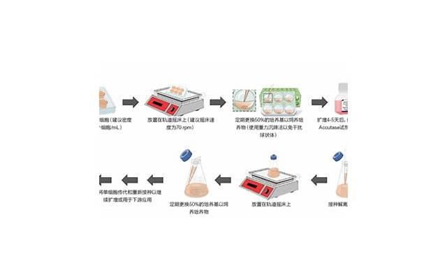 金牛男开始动情的细节(金牛男开始动情的细节陶白白)