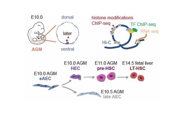 巨蟹男深爱一个人细节（巨蟹男超级爱你的表现）