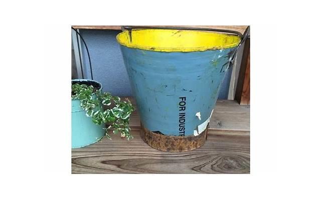 纪晓岚为啥不娶杜小月（纪晓岚为何终身未娶）