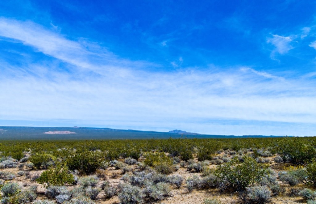 66号公路(Route 66)(美国)