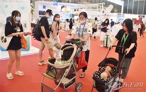 亚洲宠物展上海开幕 快来膜拜各路萌宠神兽