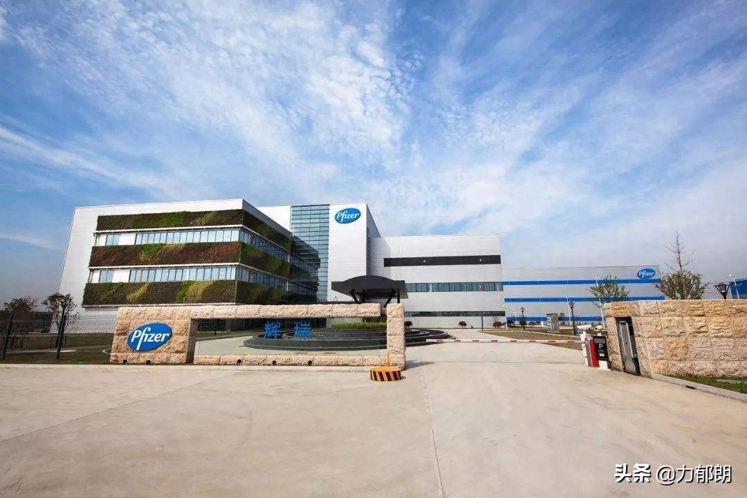 世界十大制药公司