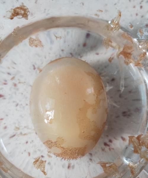 武义醋鸡的做法窍门