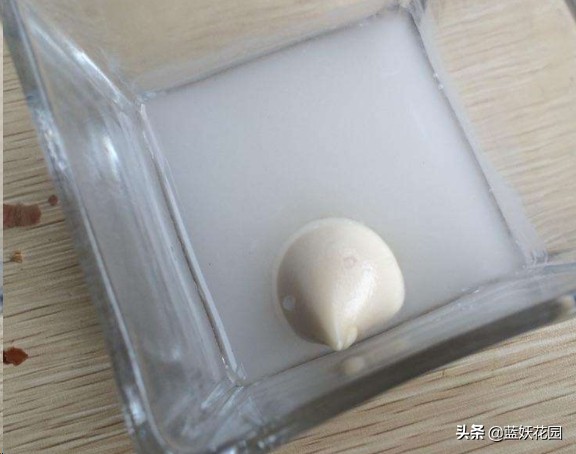 郁金香用什么土种植比较好（郁金香的栽培方法）