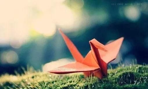 俗话说瑞雪兆丰年，为什么说“瑞雪兆丰年”？图2