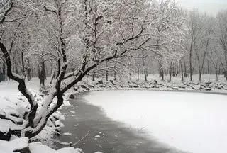 俗话说瑞雪兆丰年，为什么说“瑞雪兆丰年”？图9