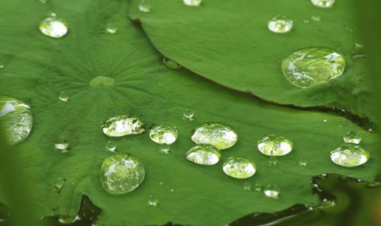 如琢如磨如切如磋,大珠小珠