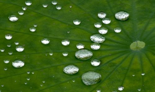 大珠小珠落玉盘形容的是什么