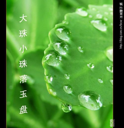 大珠小珠落玉盘是什么意思