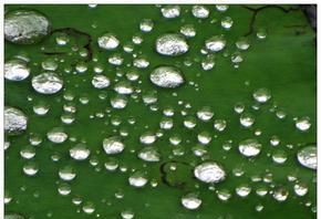 琵琶行中的大珠小珠落玉盘的是修辞手法是什么