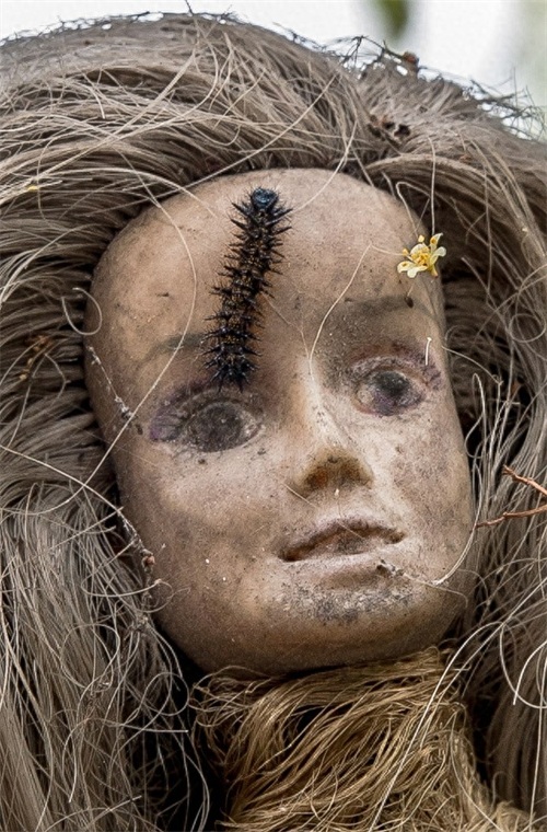 实拍：阴森诡异的鬼娃娃岛